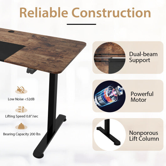 55 Inch Electric Standing Desk Adjustable with Cable Management Hole-Brown - Color: Brown