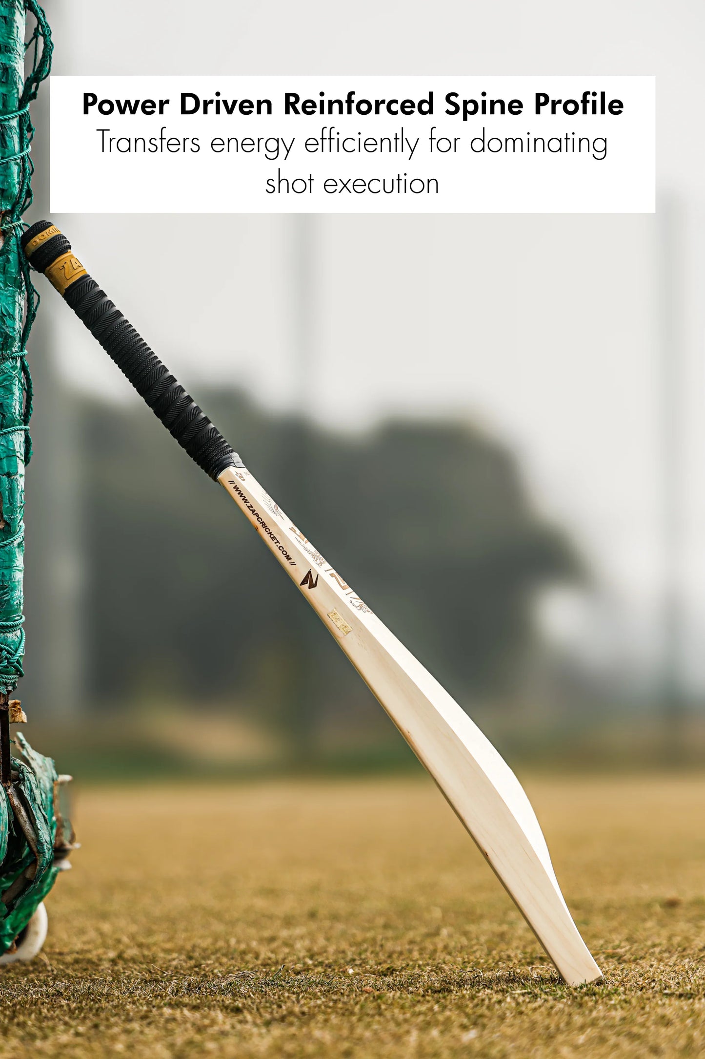 ZAP Crown Legacy English Willow Bat-3