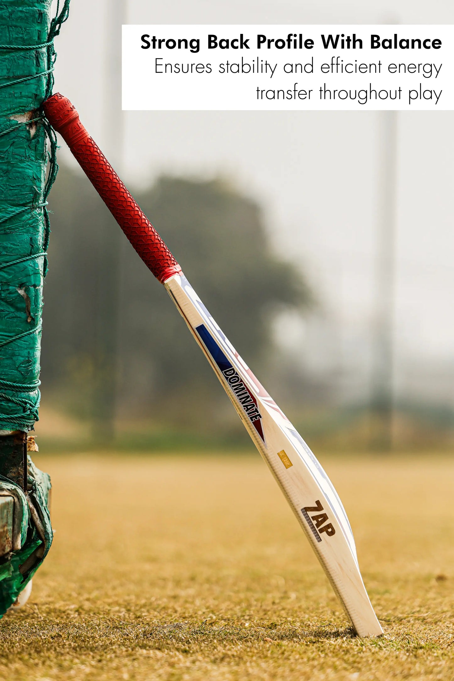 ZAP Classic Pro English Willow Bat-4