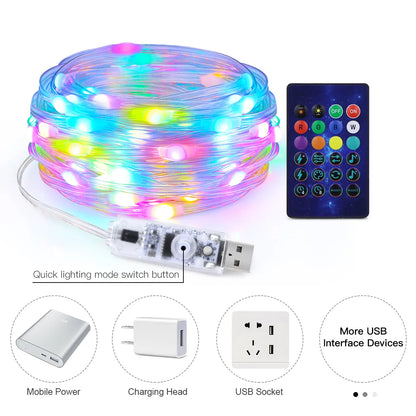 20M Smart Bluetooth Addressable LED Christmas Lights-1